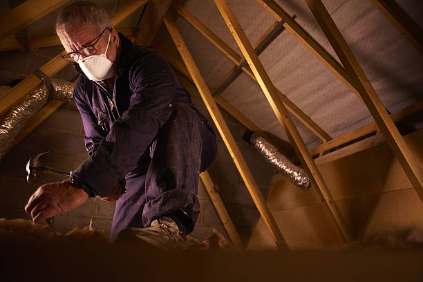 Best Insulation Installation Services in Idalou, TX